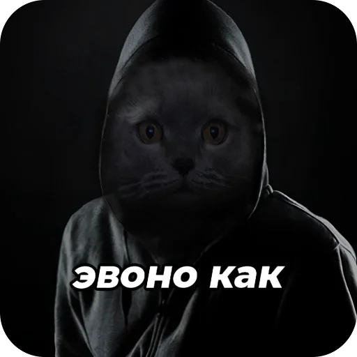 🫥 Стикер «окаки» для Telegram
