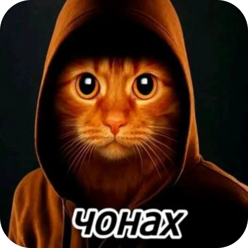 🫥 Стикер «окаки» для Telegram