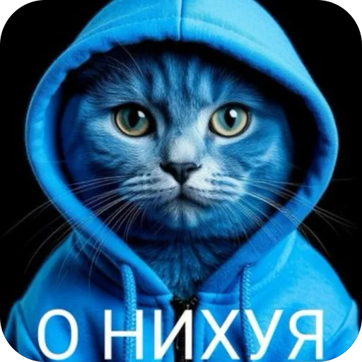🫥 Стикер «окаки» для Telegram