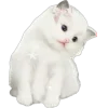 🤩 Эмодзи «okay» для Telegram