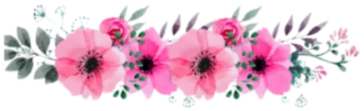 🌸 Стикер «Ok Chicas» для Telegram