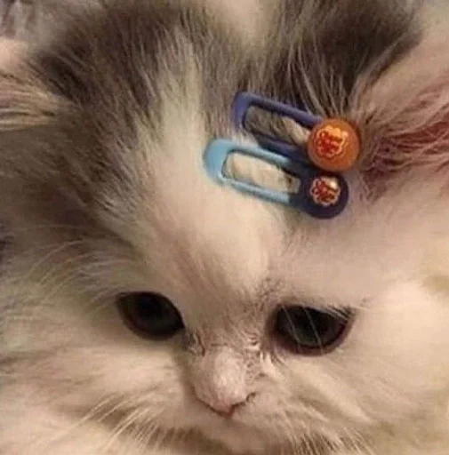 🥺 Стикер «ОК МЕМ 2.0» для Telegram