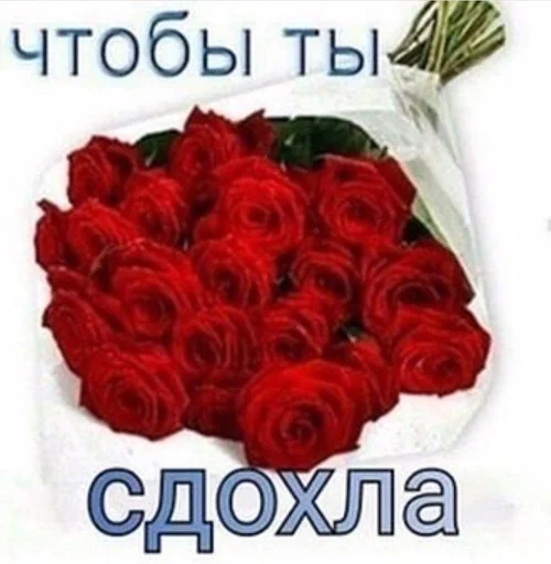 💐 Стикер «ОК МЕМ 2.0» для Telegram