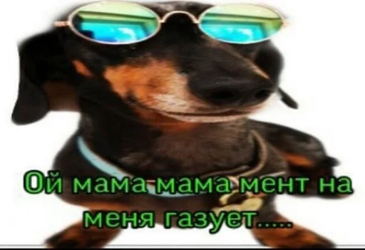 🗿 Стикер «ОК МЕМ 2.0» для Telegram