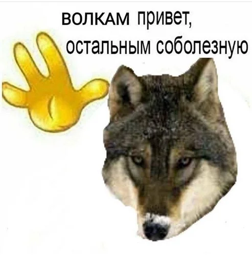 🐺 Стикер «ОК МЕМ 2.0» для Telegram