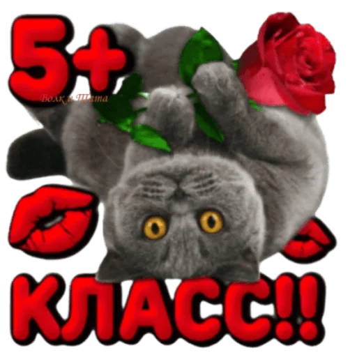 👍 Стикер «Классные слова» для Telegram