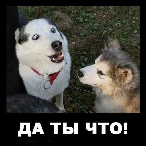 🤗 Стикер «старые мемчики» для Telegram