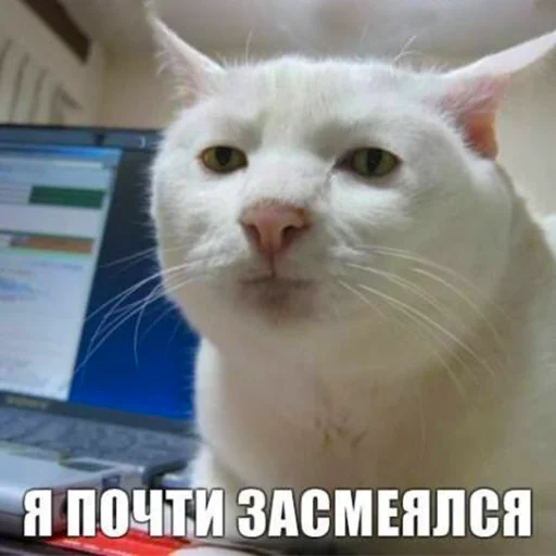 😒 Стикер «старые мемчики» для Telegram