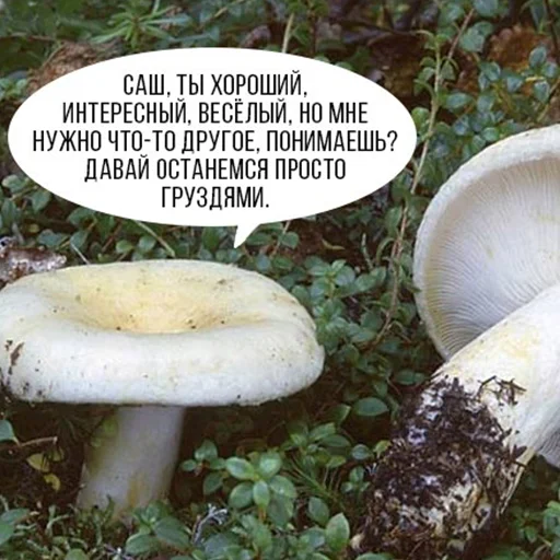 💔 Стикер «старые мемчики» для Telegram