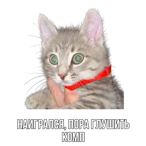🙀 Стикер «Rush Royale memes» для Telegram