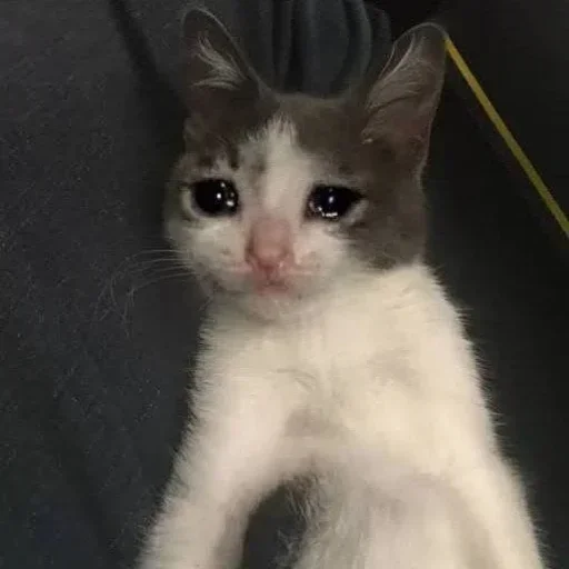 😭 Стикер «badabing badaboom» для Telegram