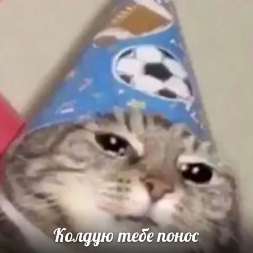 🥢 Стикер «Отсос в рассрочку» для Telegram