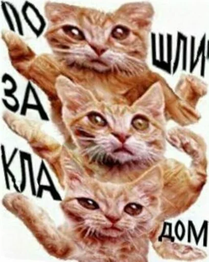 🧳 Стикер «Отсос в рассрочку» для Telegram