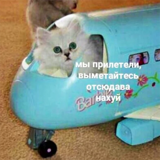 🛫 Стикер «Отсос в рассрочку» для Telegram