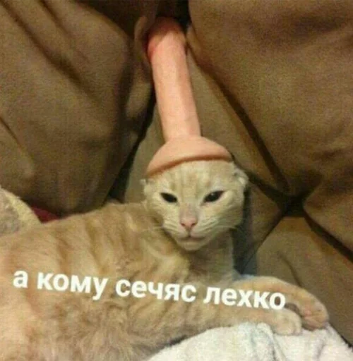 ❔ Стикер «Отсос в рассрочку» для Telegram