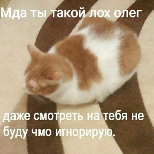 👀 Стикер «Отсос в рассрочку» для Telegram