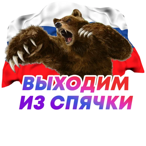 🐻 Стикер «НА СПОРТЕ – ОЛИМПИАДА 2022 🇷🇺» для Telegram
