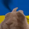 Стикер 57 Olsiortwitchani