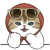 😎 Эмодзи «Милые котьки» для Telegram