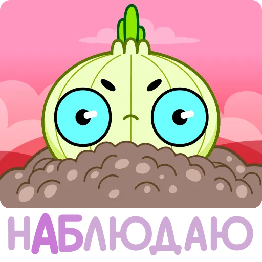Стикер 30 Лучок