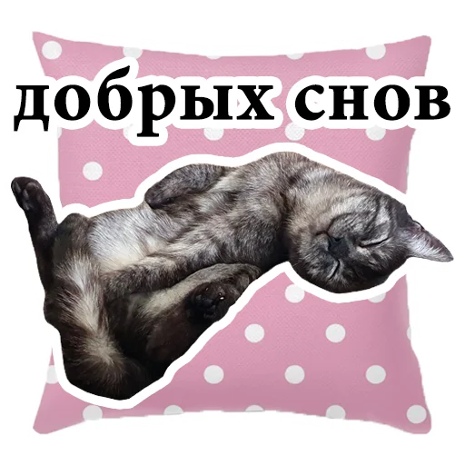 💤 Стикер «onix» для Telegram