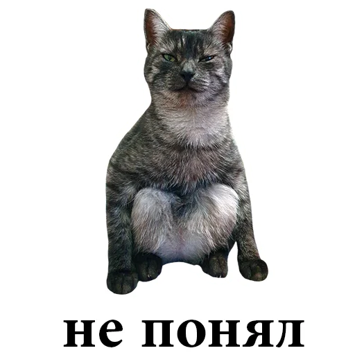 🤔 Стикер «onix» для Telegram
