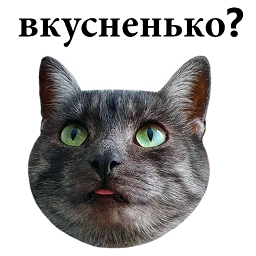 🤤 Стикер «onix» для Telegram