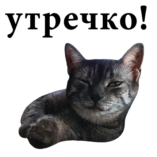😉 Стикер «onix» для Telegram
