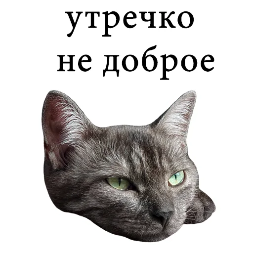 😖 Стикер «onix» для Telegram