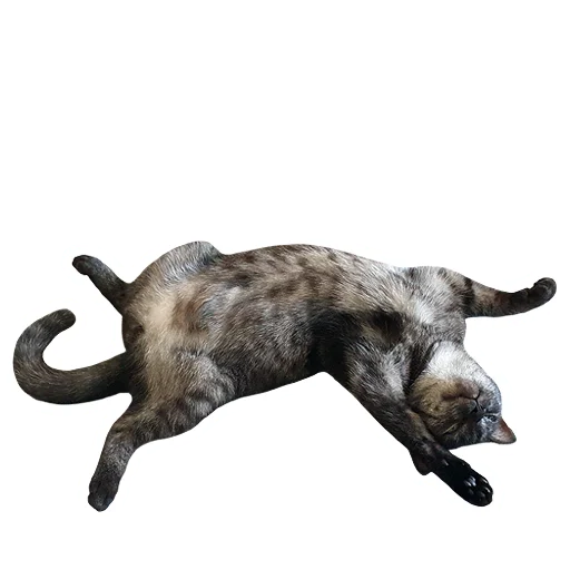 🤪 Стикер «onix» для Telegram