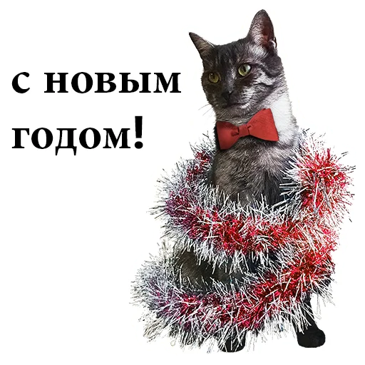 🌲 Стикер «onix» для Telegram