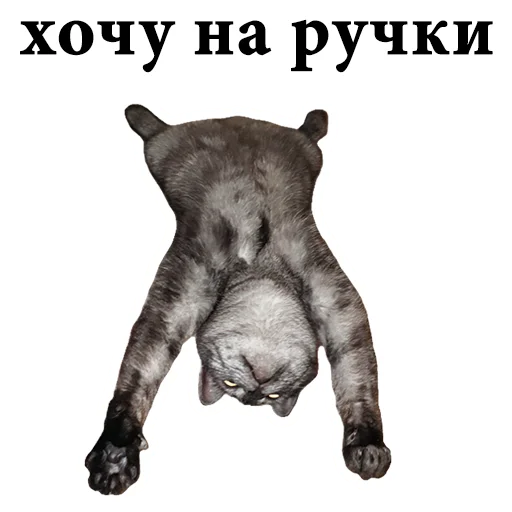 🥱 Стикер «onix» для Telegram