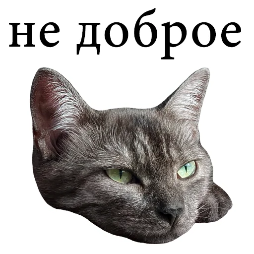 😖 Стикер «onix» для Telegram
