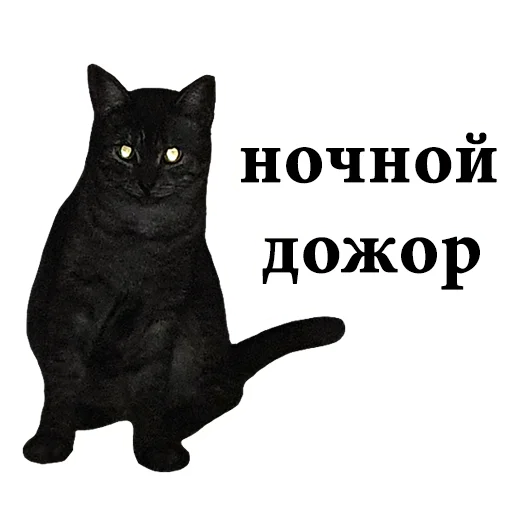 🍟 Стикер «onix» для Telegram