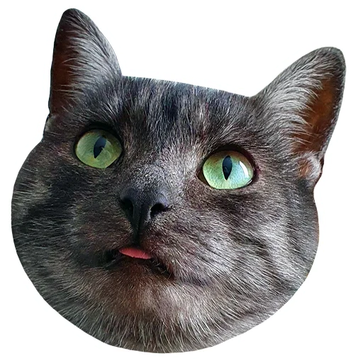 😛 Стикер «onix» для Telegram