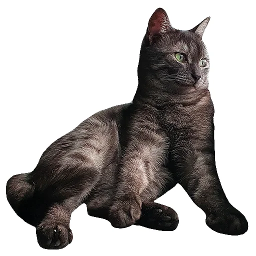 😳 Стикер «onix» для Telegram
