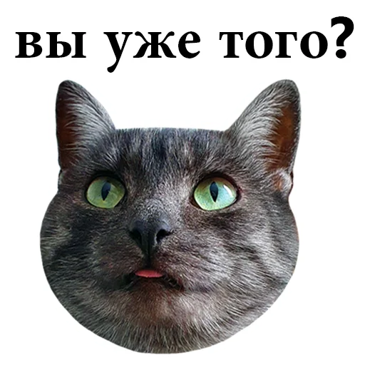 🤨 Стикер «onix» для Telegram
