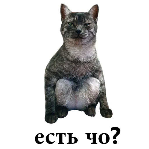😠 Стикер «onix» для Telegram