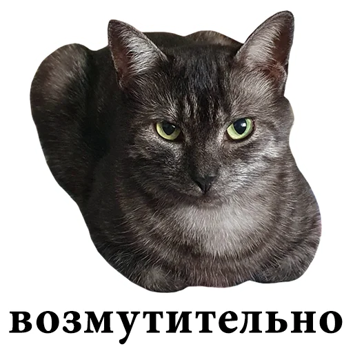 😡 Стикер «onix» для Telegram