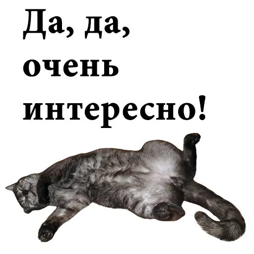 🙃 Стикер «onix» для Telegram