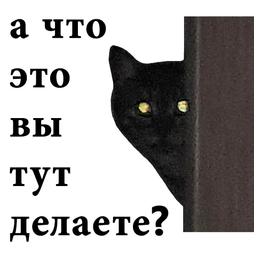😏 Стикер «onix» для Telegram