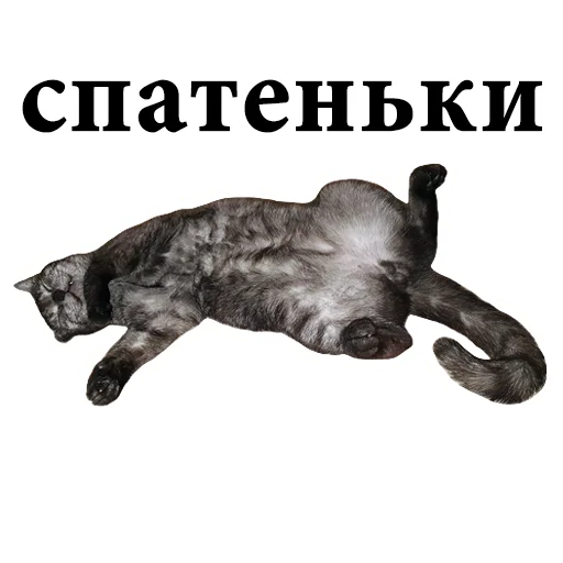 😴 Стикер «onix» для Telegram