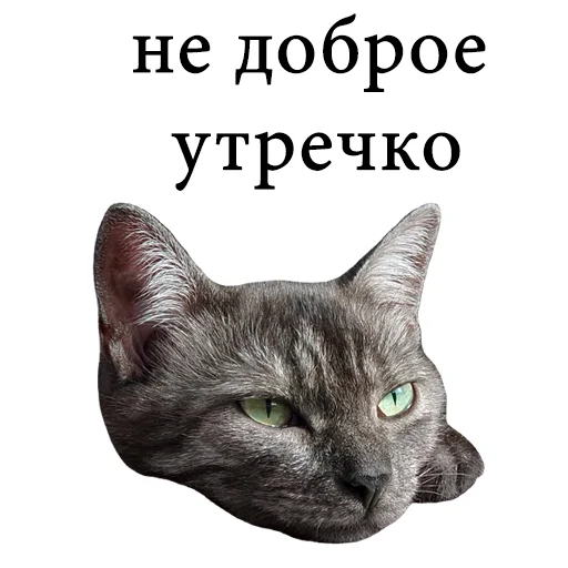 😣 Стикер «onix» для Telegram