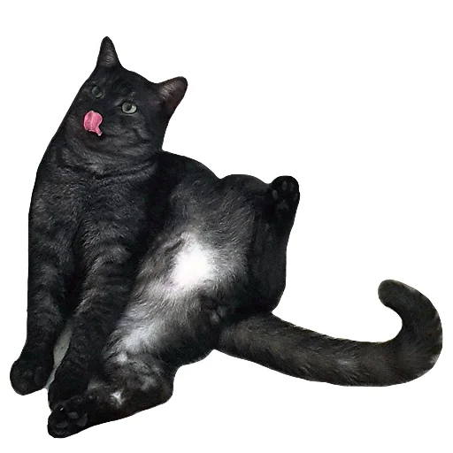 😜 Стикер «onix» для Telegram