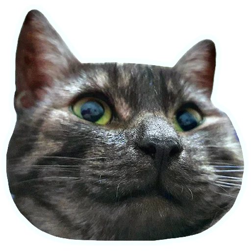 🤗 Стикер «onix» для Telegram