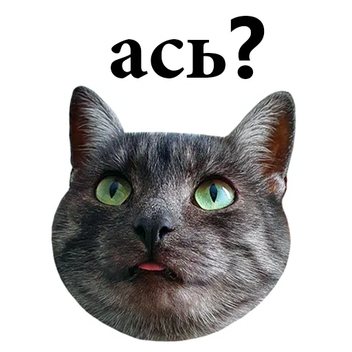 🤨 Стикер «onix» для Telegram