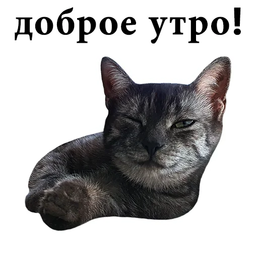 😉 Стикер «onix» для Telegram