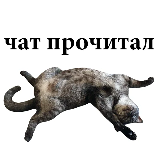 🤪 Стикер «onix» для Telegram