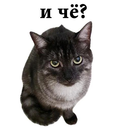 ❓ Стикер «onix» для Telegram