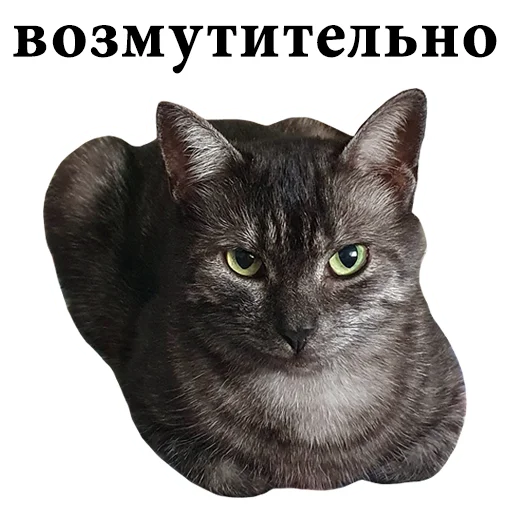 😡 Стикер «onix» для Telegram